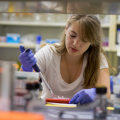 Unlock Research Opportunities for Students Attending Colleges in Manassas Park, Virginia